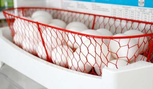 2 thói quen “sai lầm” khi bảo quản trứng trong tủ lạnh